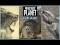 Download Lagu Prehistorische planeet: ijstijd - gedachten en speculatie