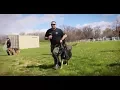 Sheriff - Join Us