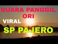 Download Lagu suara panggil walet pajero ori #asean tenggara#malaysia#thailand#vetnan#walet#