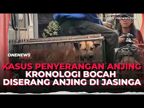 Bocah Tewas Diserang Anjing Pemburu di Bogor, Pemilik Jadi Tersangka