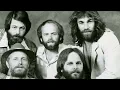 The Beach Boys - Do It Again (with lyrics)