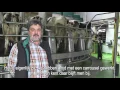 Lagu DairyProQ: automatisch melken in een carrousel - www.melkvee.nl