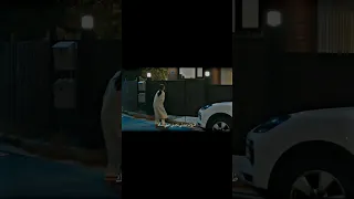 ضروف كتير ثاني بتمنعني اكون وياك 