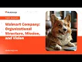 Walmart Company Organizational Structure Mission and Vision - Research Paper Example