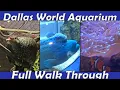 Walk Through Dallas World Aquarium in Dallas TX Apr 21st 2025