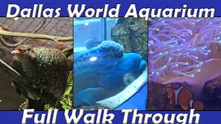 Walk Through Dallas World Aquarium in Dallas TX Apr 21st 2025