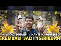 Lagu KIOS RASA HUTAN ||  PANTES BURUNG PLECI OMBYOKAN DIJUAL DR 15 RIBU POKSAY DR 130 RIBU DI PB PRAMUKA 