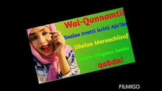 Walqunnamtii Saalaa Yemmuu Raawwattu Akka Itti Dubartii Gammachiistu 