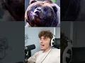 Animals With Down Syndrome