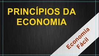 Introdução à economia 1 - Princípios da economia