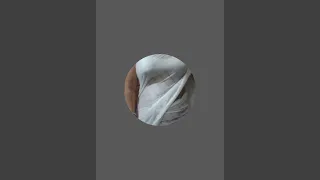 night live episode 06