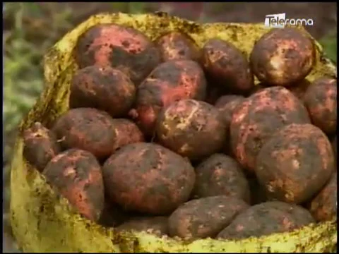 Ecuador Agropecuario 31-05-2018