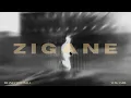 Dhanda Nyoliwala | YUNG SAHIL - Zigane (Official Audio)