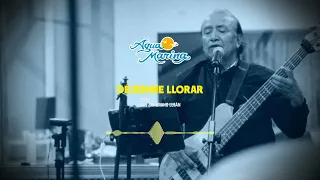 Agua Marina - Déjenme Llorar (Audio Oficial)