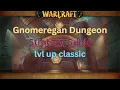 Skip Run Gnomeregan Dungeon Strategy Guide lvl up classic