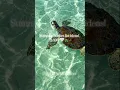 summer bucket list ideas