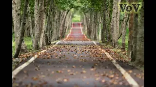 أجمل أغنية تركية مترجمة يبحث عنها الملآيين 2020 المكان مظلم بالكامل Her Yer Karanlık  أجمل أغنية تركية مترجمة يبحث عنها الملآيين 2020 المكان مظلم بالكامل Her Yer Karanlık