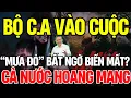 Download Lagu Mưa Đỏ Bất Ngờ Dừng Chiếu Sau 700 Tỷ Đồng: Bí Ẩn Đằng Sau Phim Mưa Đỏ Là Gì?| Lăng Kính