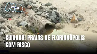 IMA alerta: 30% das praias de Florianópolis estão impróprias para banho