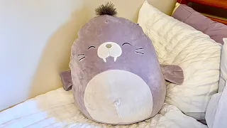 Squishmallows Rare 16-Inch Kwame The Walrus REVIEW