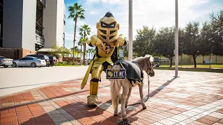 UCF Knight Your Ride