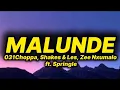 Download Lagu 013Choppa, Shakes \u0026 Les, Zee Nxumalo - Malunde (lyrics) ft. Springle