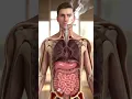 Download Lagu Smoking Effects Inside the Human Body | Lung Damage Animation Explained