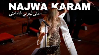 Najwa Karam Live In Amsterdam 2025 Medley ميدلي تهموني أنا ما في ي نجوى كرم في هولندا 