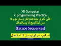C Language Practical Escape Sequence