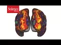 Researchers demonstrate mind-reading brain-decoding tech