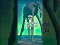 Download Lagu GOJIRA VS MULTIVERSE SIZE COMPARISON #shortsvideo #edit #animals #godzilla #shorts
