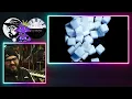 NEMOPHILA Does SOAD?! 'Sugar' LIVE & Studio | Rock Musician Reacts