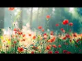 Download Lagu Morning Relaxing Music - Piano Music for Stress Relief and Studying (Riley)