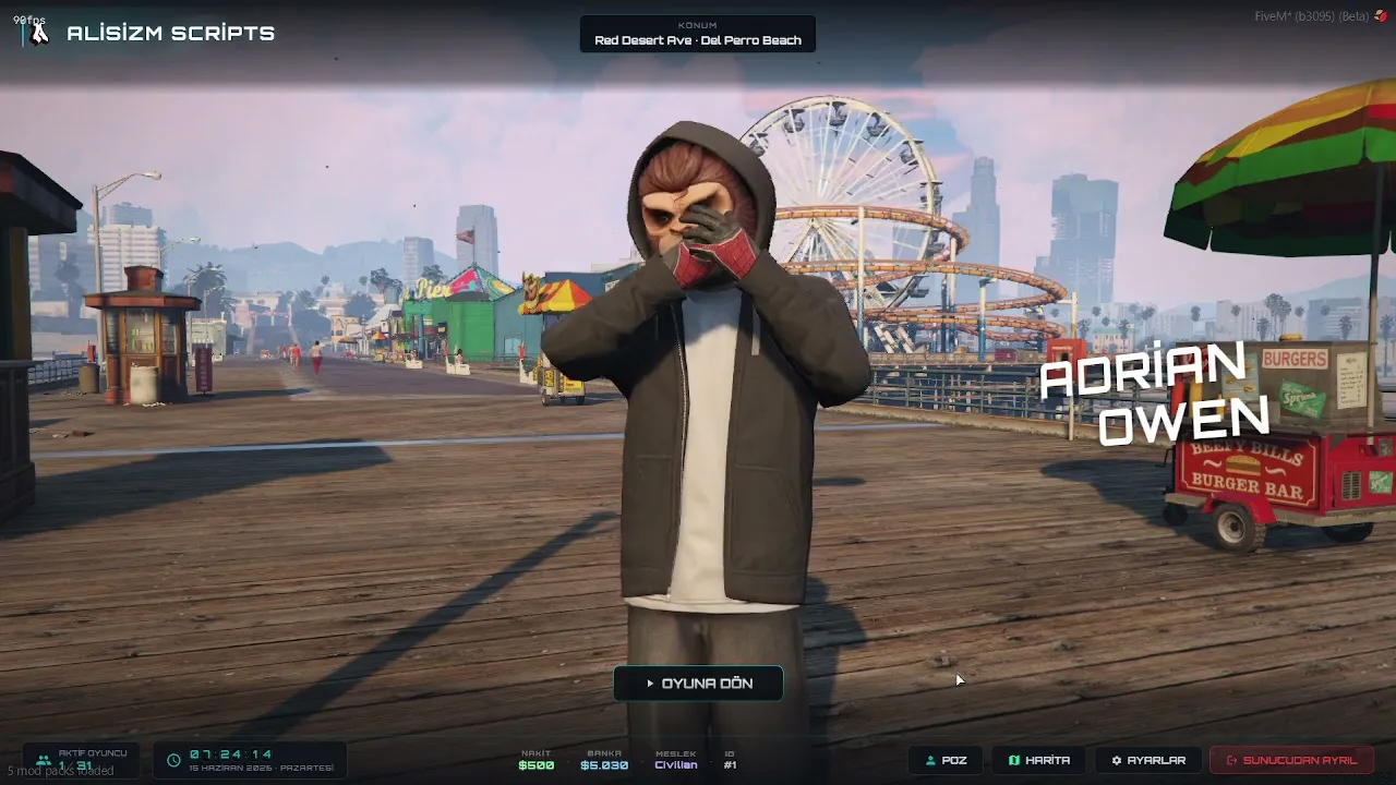 Alisizm Pause Menu