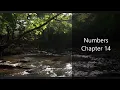 The Book of Numbers Chapter 14 - New King James Version NKJV