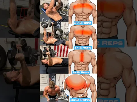 Dumbbell chest workout at gym and at home #chestexercises #chestworkout #chest #dumbleworkout