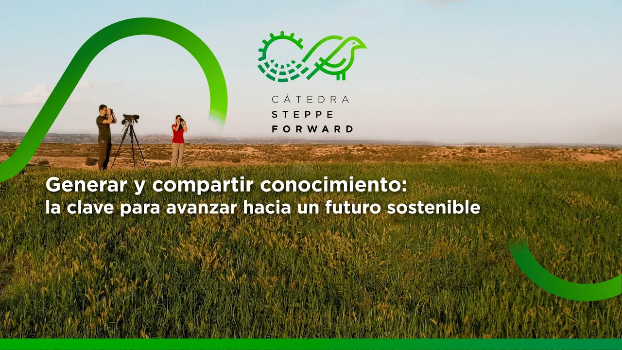 Catedra Steppe Forward : Youtube video player