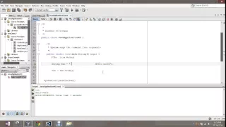 String Class Java trim