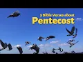 5 Bible Verses about Pentecost