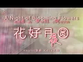 花好月圆夜A Night of Blooming Flowers and a Full Moon（一个人的情歌对唱）中秋节快乐！（Chinese and English Subtitles中英文字幕）