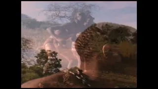 all star traditional group mmala