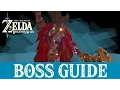 Breath of the Wild How to Defeat Thunderblight Ganon