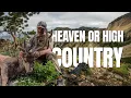 Bowhunting Utah Mule Deer Heaven or High Country