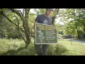 Online Master of Environmental Sustainability O Neill School Indiana University