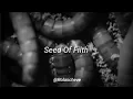 Download Lagu Six Feet Under - Seed Of Filth / Subtitulada al Español