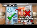 Why is My Kenmore Fridge Not Cooling But Freezer Works