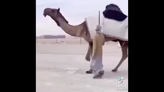 بطوله سعيد محسن بن حفيظ المزروعي 
