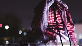 شيلة شوفتك تبري لي العله   ريميه    صالح الهمامي دندنها