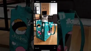 nicks franklin highlights