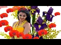 Download Lagu Ek Masoom Sa Dil Ye Mera ((Jhankar)) Mere Jeevan Saathi (2006) || Sonu Nigam, Alka Yagnik ||